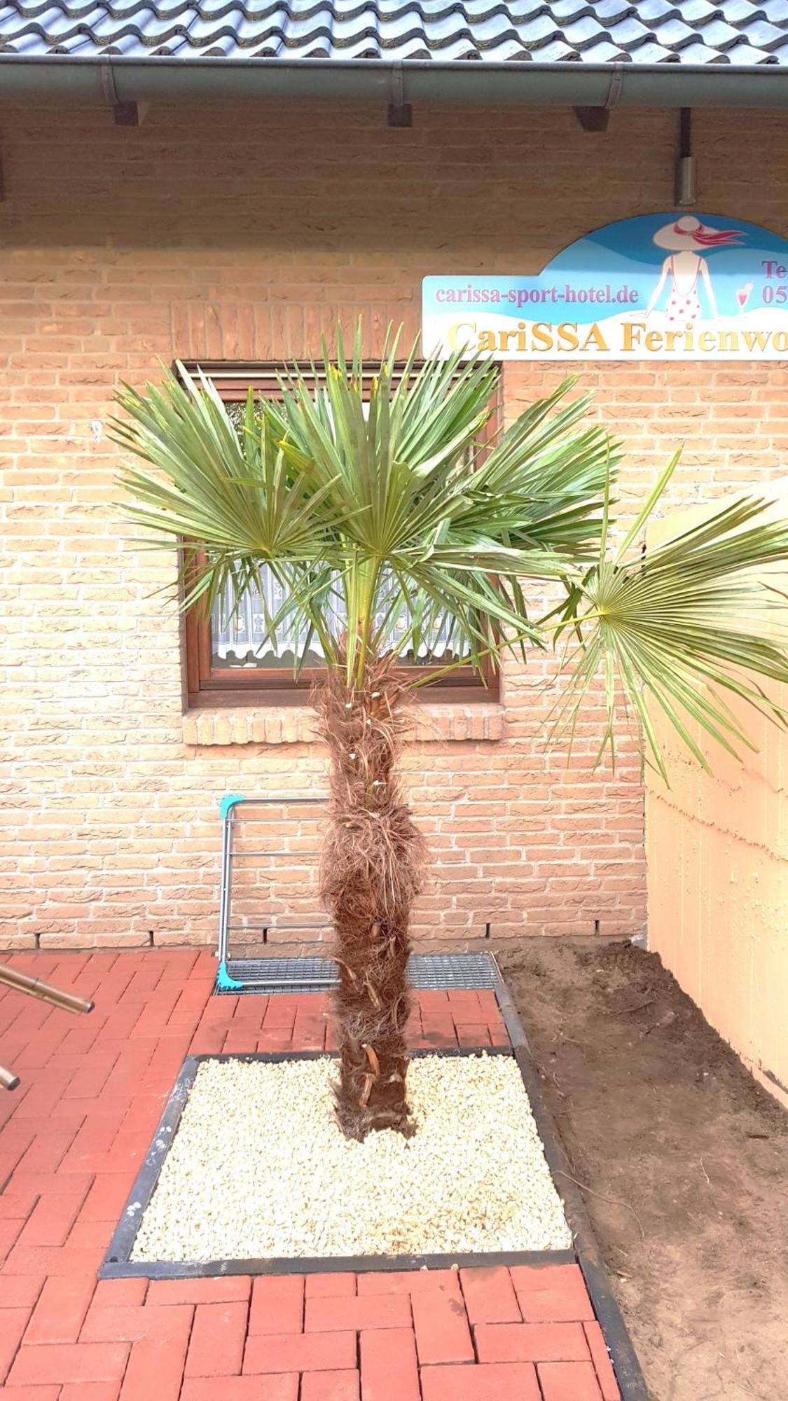 CariSSA AparthotelFerienwohnung Bad Bevensen Exterior foto